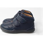 BLifestyle Racoon Navy