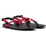 Xero Shoes Genesis Punainen