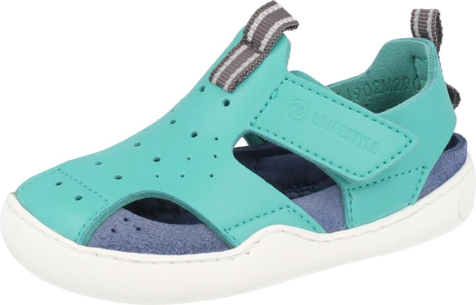 BLifestyle Gerenuk Πετρόλ