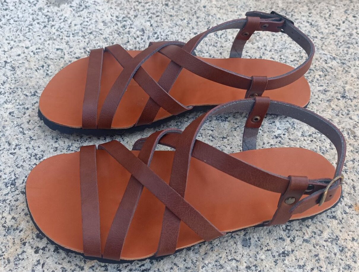 Bioworld Delfos Brun