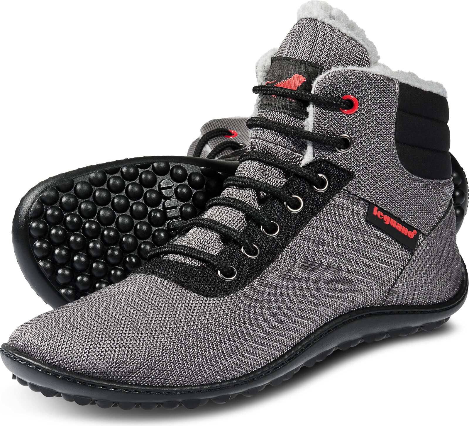 Leguano Kosmo Antrasiitti