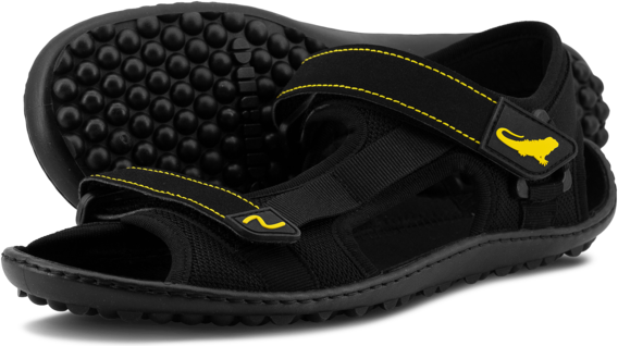 Leguano Attrekktive Czarny