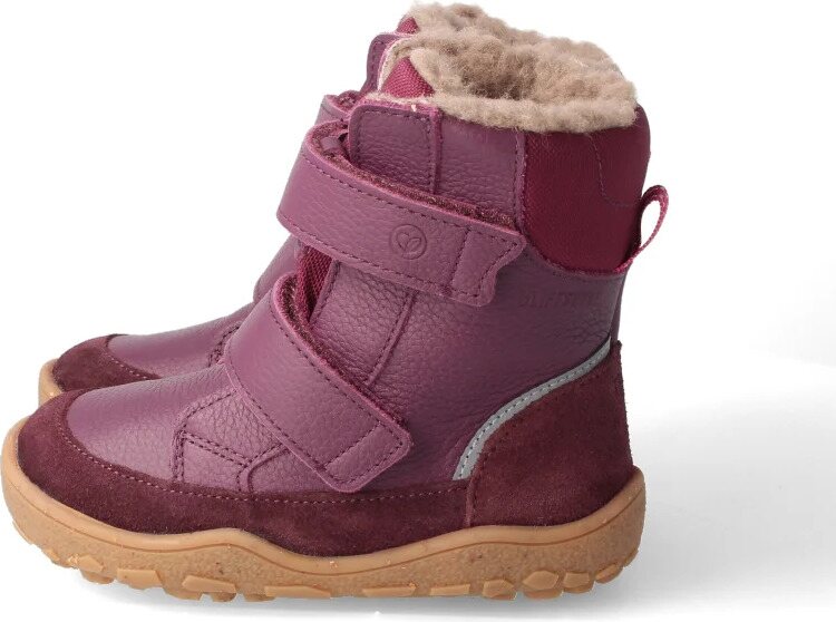 BLifestyle polarfuchsSTYLE Pruim