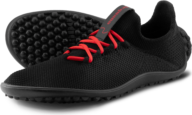 Leguano Inspiro Lava