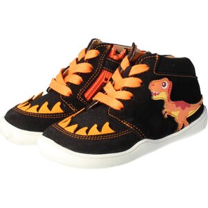 BLifestyle Dinosaurus