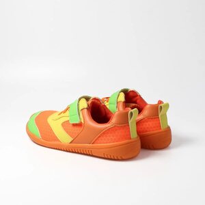 BLifestyle Dodo