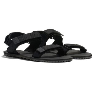 Xero Shoes D-Trail miesten