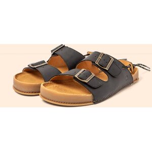 El Naturalista Horizon