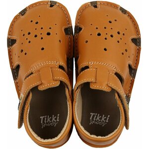 Tikki Aranya